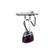 Miyako 1950W Vertical Steamer  (LGS-810)